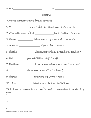 Possessives Worksheet