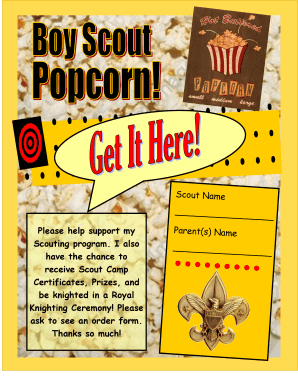 Scout Support Letter