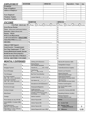 Employment Debtor Spouse Financial Statement