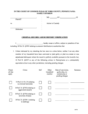 Criminal Record Abuse History Verification Form