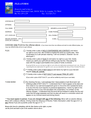 Texas Plea Form