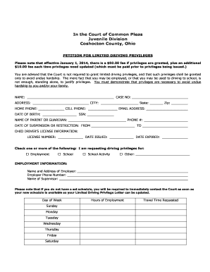 Petition for Limited Driving Privileges