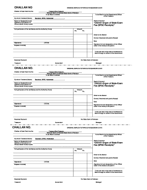 Pakistan Treasury Payment Challan