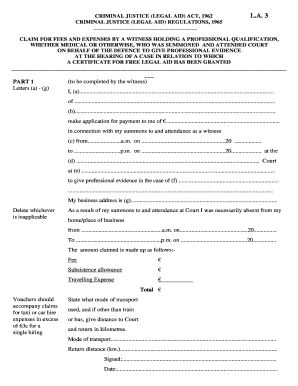 Claim for Fees and Expenses by Professional Witness