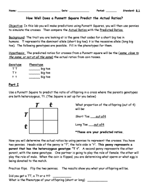 Punnett Square Lab Worksheet
