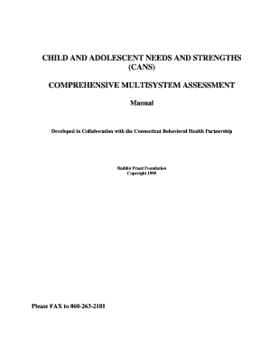 Child and Adolescent Needs and Strengths (CANS) Assessment Form