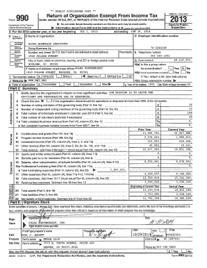 Form 990 2013 Tax Return