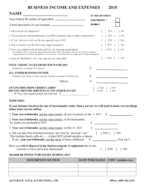 2015 Business Income and Expenses Form