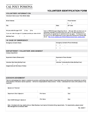 Volunteer Identification Form