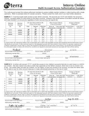 Multi-Account Access Authorization Form