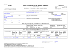 SEC Form 4 Statement of Changes in Beneficial Ownership