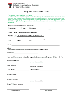 Senior Audit Form