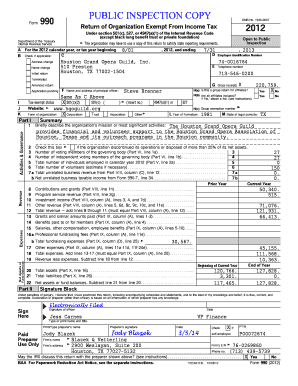 Form 990 2012