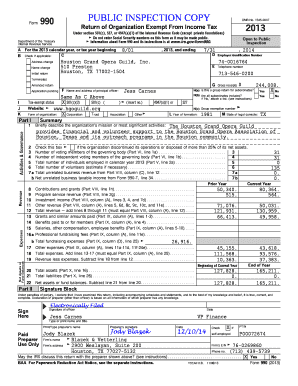 Form 990 2013