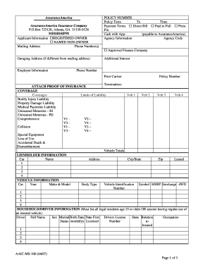 AssuranceAmerica Auto Insurance Application