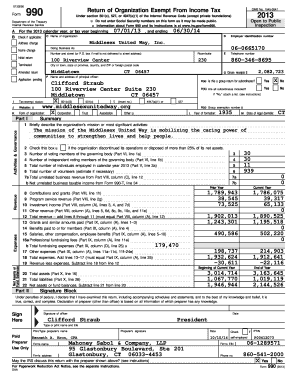 Form 990 2013 Tax Exempt Organization Return
