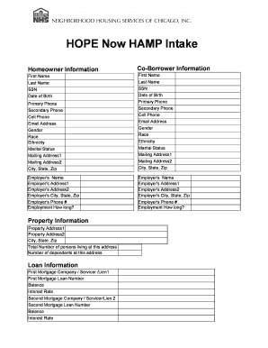 HOPE Now HAMP Intake Form
