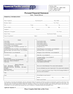 Personal Financial Statement Form