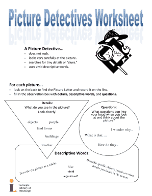 Picture Detective Observation Form