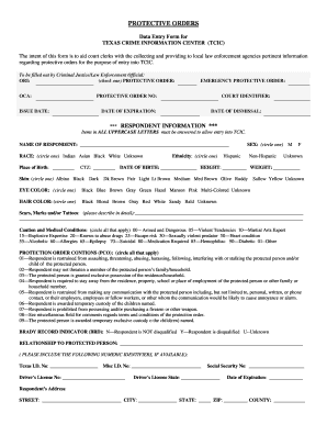 Texas Protective Order Data Entry Form