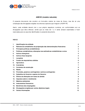 Modelo de Notas Financeiras