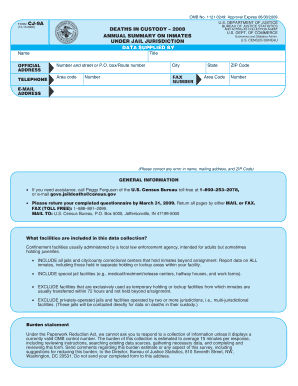 Deaths in Custody Annual Summary Form CJ-9A