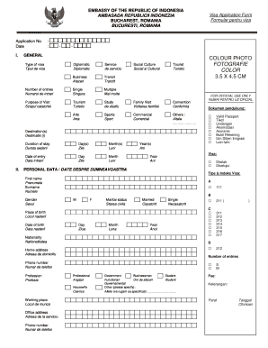 Indonesia Visa Application Form