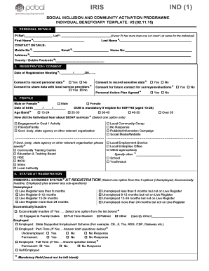 Social Inclusion and Community Activation Programme Individual Beneficiary Template
