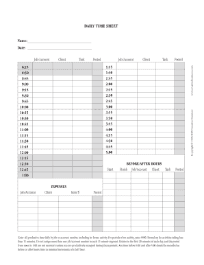 Daily Time Sheet