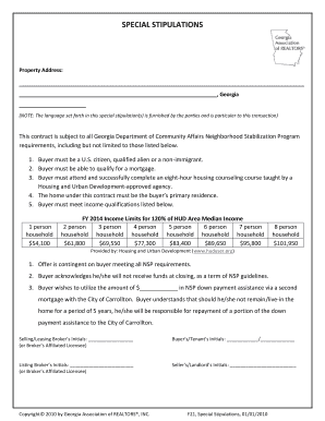 Georgia NSP Special Stipulations Form