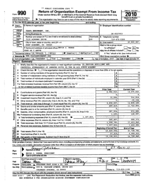IRS Form 990 2010