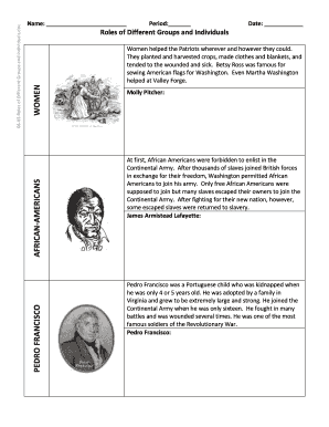Revolutionary War Roles of Different Groups