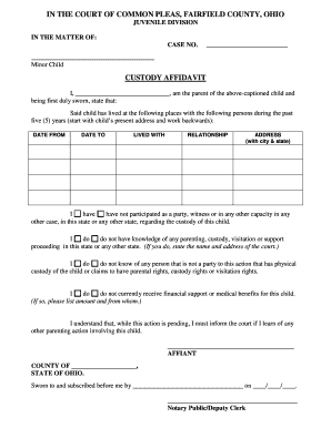 Custody Affidavit