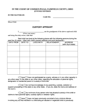Ohio Custody Affidavit