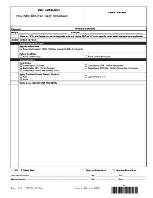 PICU Admit DKA Plan - Begin Immediately