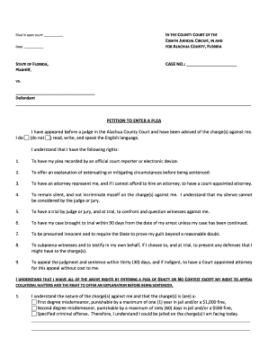Florida Petition to Enter a Plea