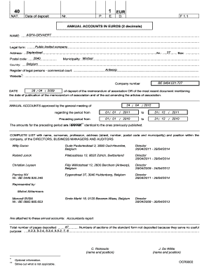 Belgian Annual Accounts Form