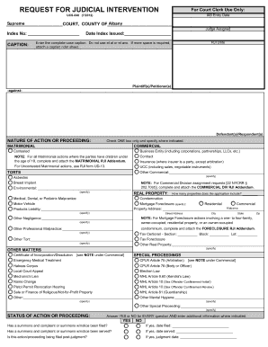 Request for Judicial Intervention Form