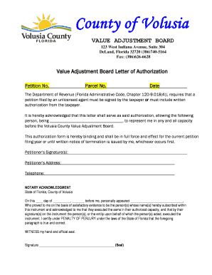 Florida Value Adjustment Board Authorization