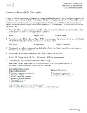 AIG Corporation Executive Appointment Application
