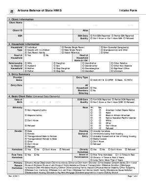 Arizona Balance of State HMIS Intake Form