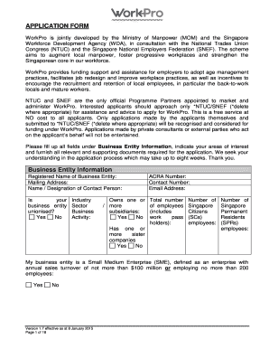 WorkPro Application Form