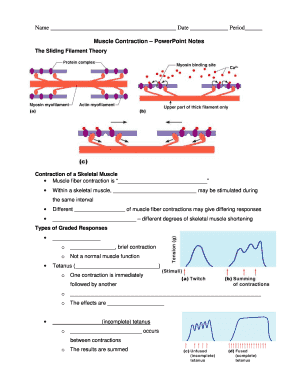 Muscle Contraction PowerPoint Notes