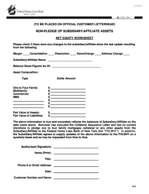 Asset worksheet - Non Pledge of Subsidiary Assets Net Equity Worksheet