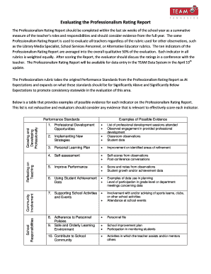 Professionalism Rating Report