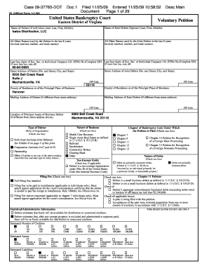 US Bankruptcy Court Voluntary Petition