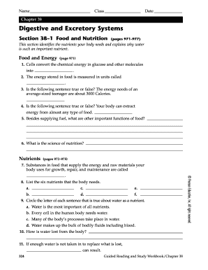 Digestive and Excretory Systems Study Workbook