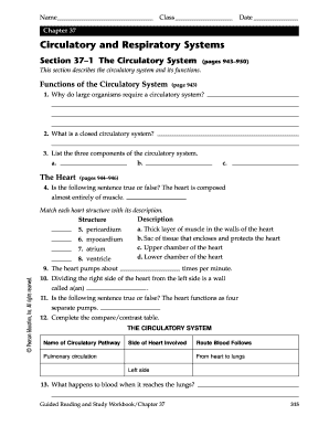 Circulatory System Study Workbook