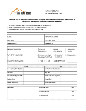 Human Resources Personnel Action Form