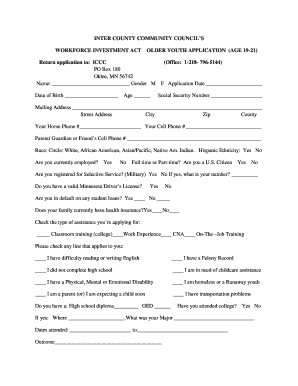 Workforce Investment Act Older Youth Application